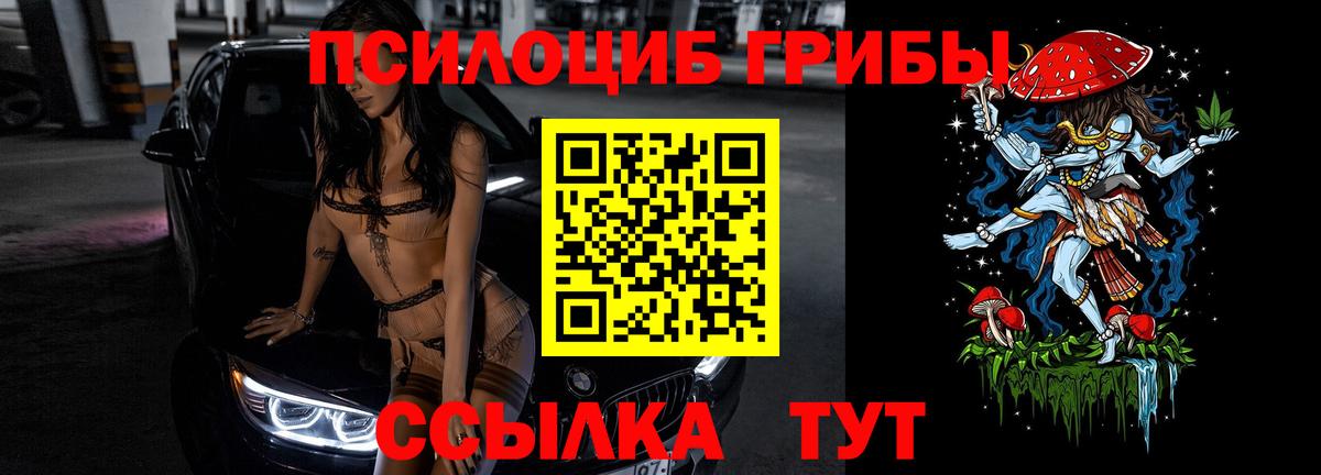 Волгоград  Галлюциногенные грибы Cubensis  Псилоцибиновые грибы Cubensis  Вход с VPN 